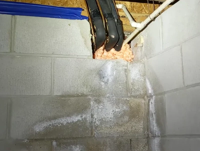 Commercial Basement Mold